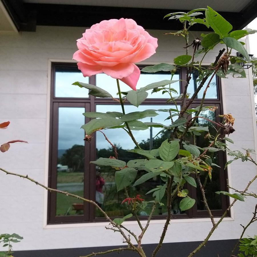 Futian B&B Ji'an Exterior foto